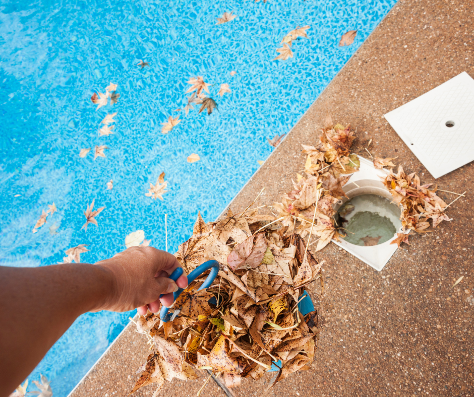 Pool Cleaning Pool Cleaning